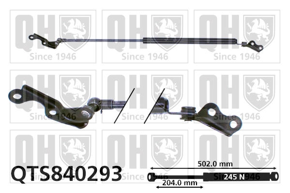 QTS840293
