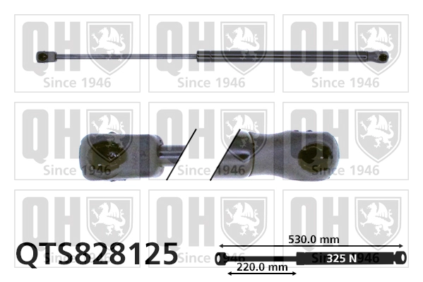 QTS828125