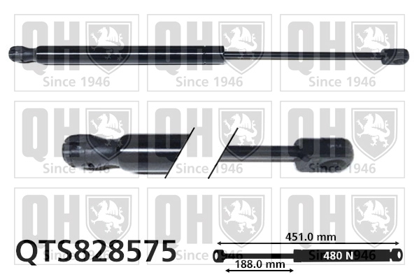 QTS828575