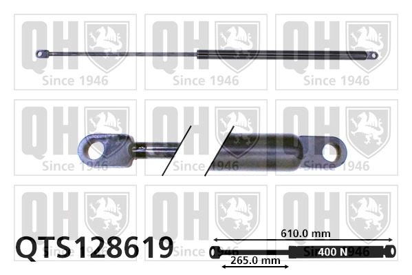 QTS128619