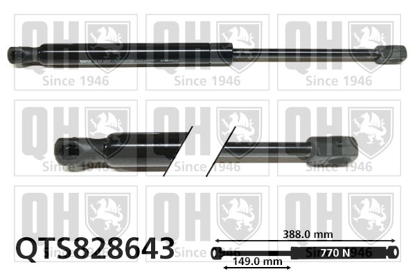 QTS828643