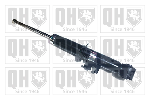 QAG179781