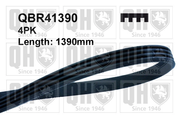 QBR41390