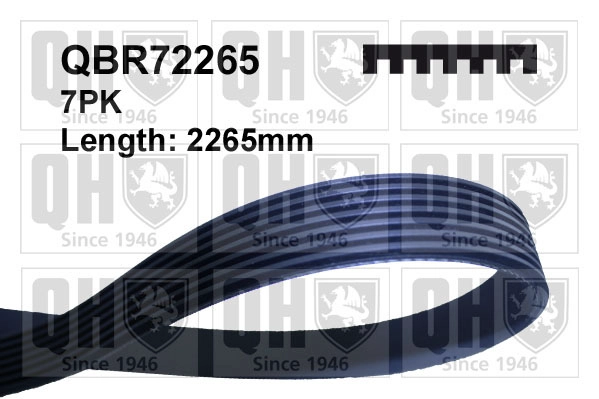 QBR72265