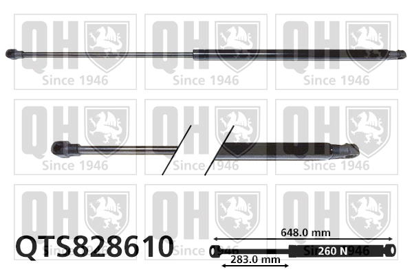 QTS828610