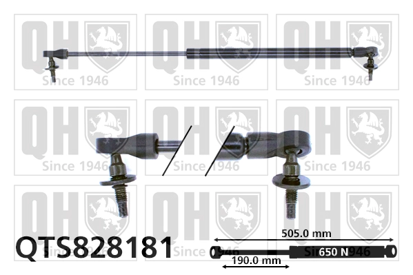 QTS828181