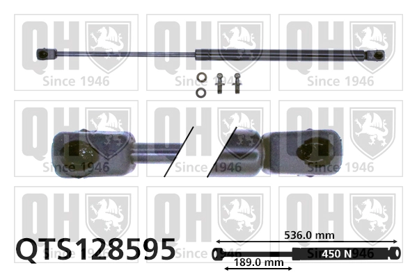 QTS128595