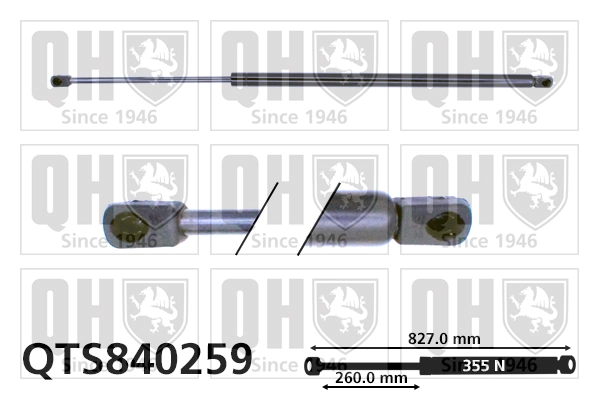 QTS840259