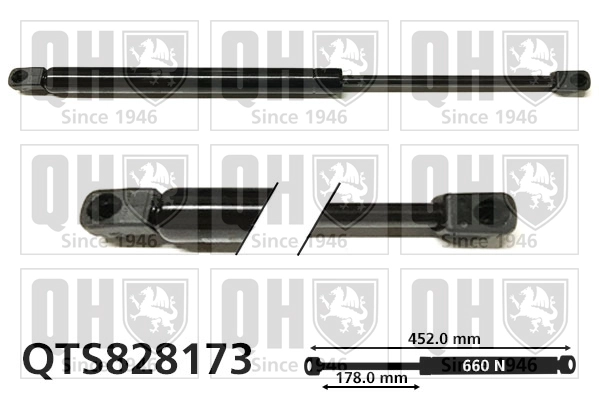 QTS828173