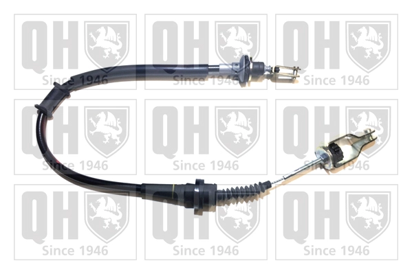 QCC1961