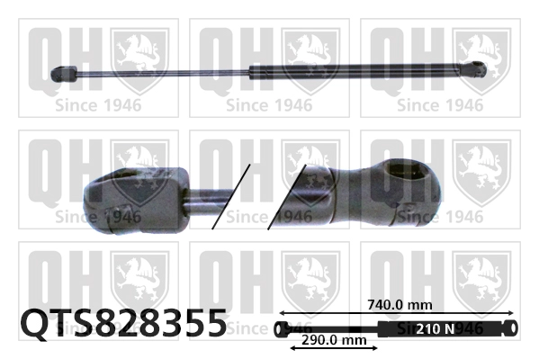 QTS828355