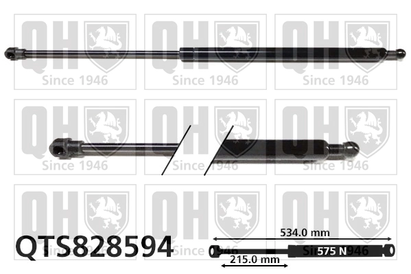 QTS828594