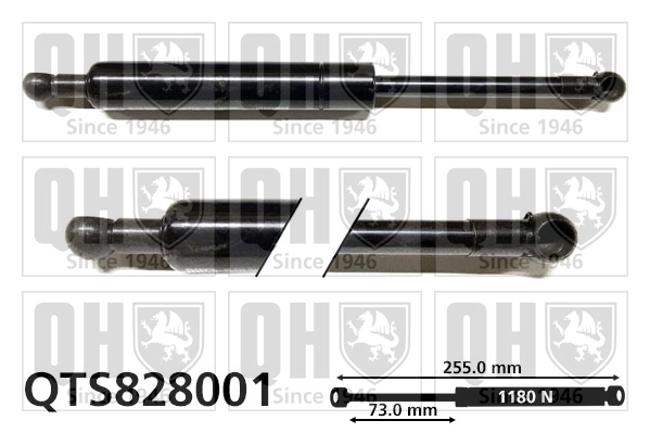 QTS828001