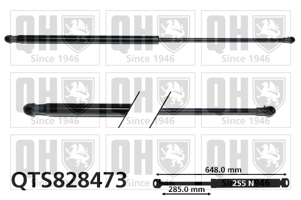 QTS828473