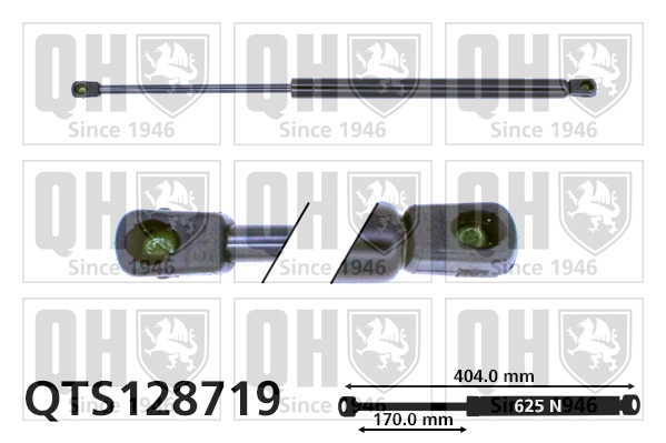 QTS128719