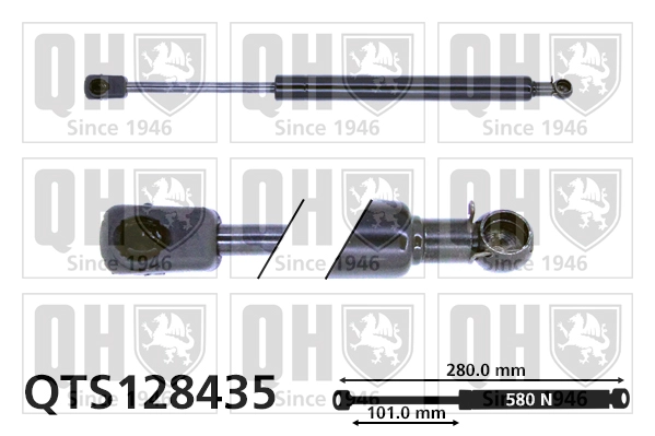 QTS128435