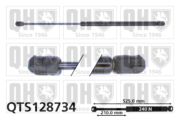 QTS128734