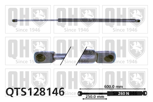 QTS128146