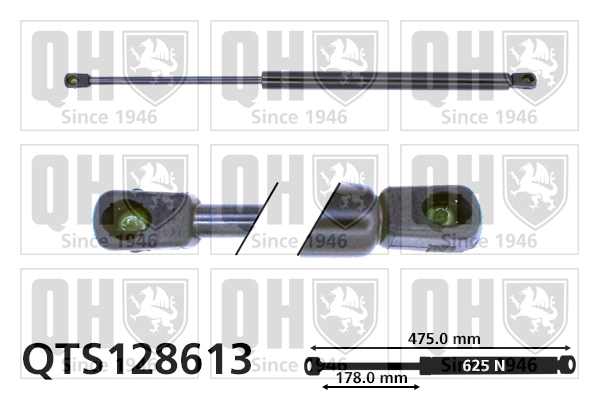 QTS128613