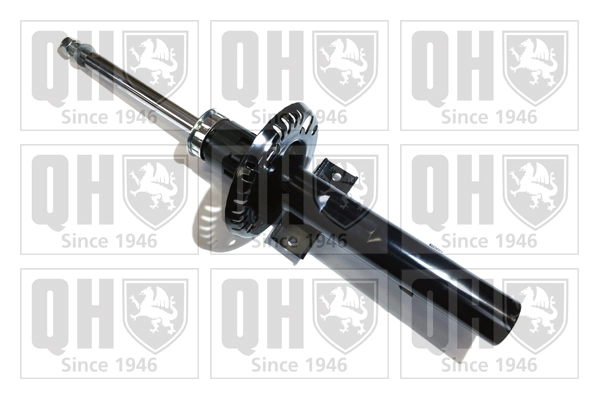 QAG178881