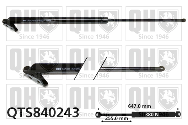QTS840243