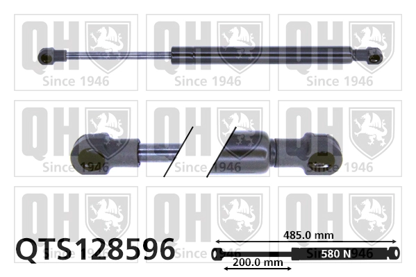QTS128596