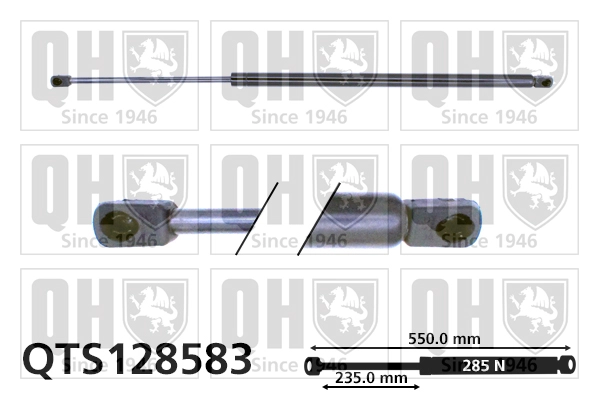 QTS128583