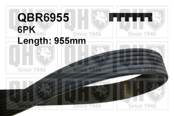 QBR6955