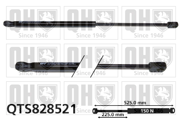 QTS828521