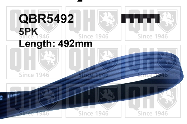 QBR5492