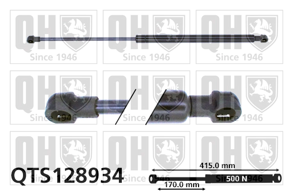 QTS128934