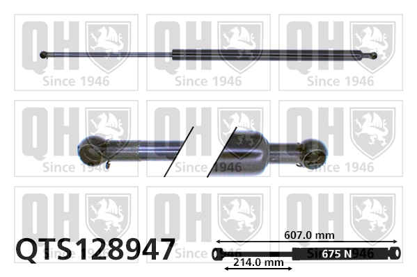 QTS128947