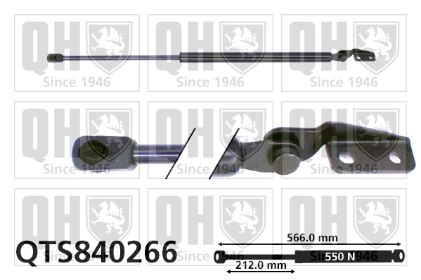 QTS840266