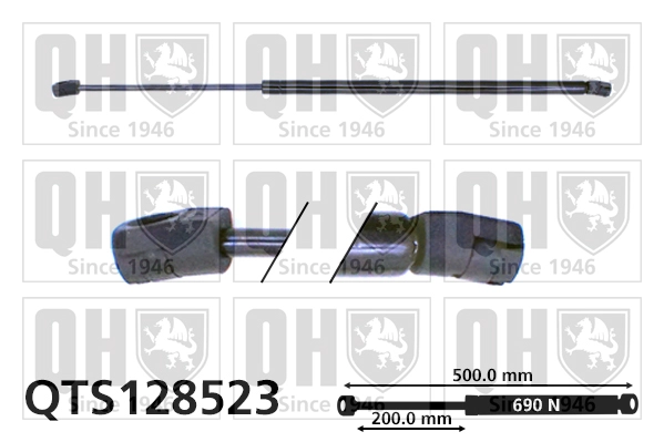 QTS128523