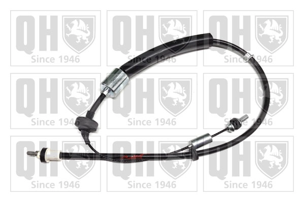 QCC1919
