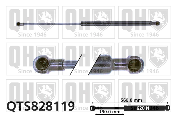QTS828119