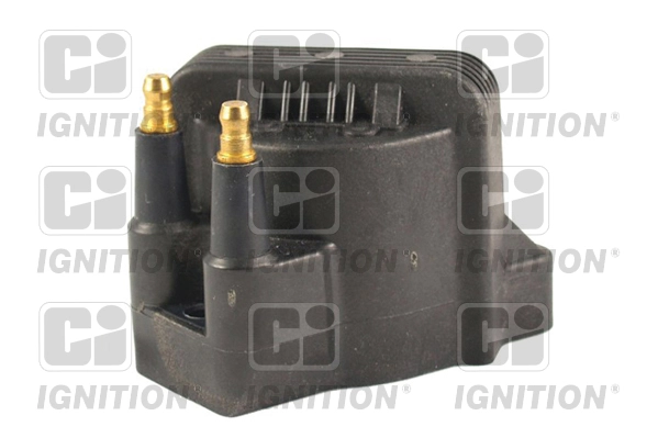 XIC8134