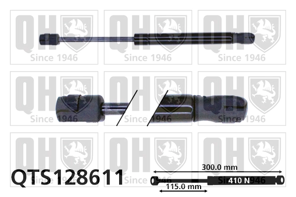 QTS128611