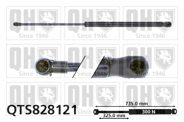 QTS828121