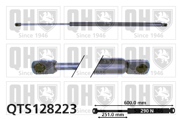 QTS128223