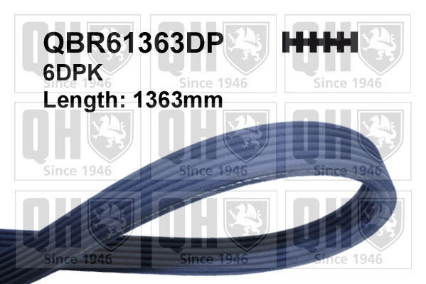 QBR61363DP