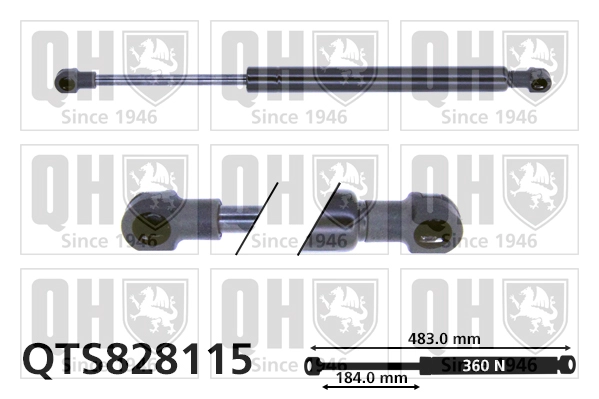 QTS828115