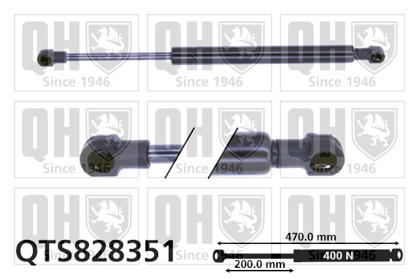 QTS828351