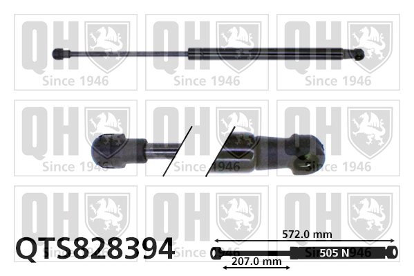 QTS828394