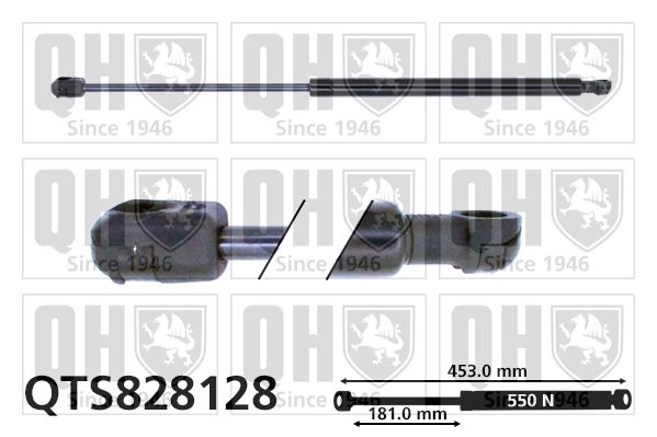 QTS828128