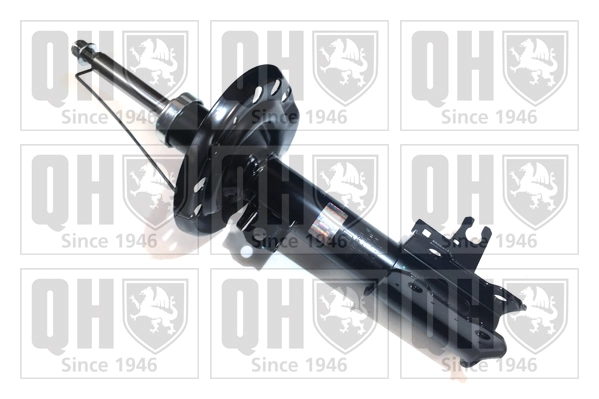 QAG178998