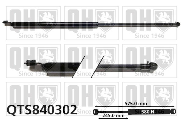 QTS840302