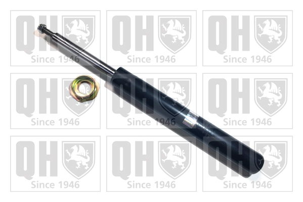 QAG178171