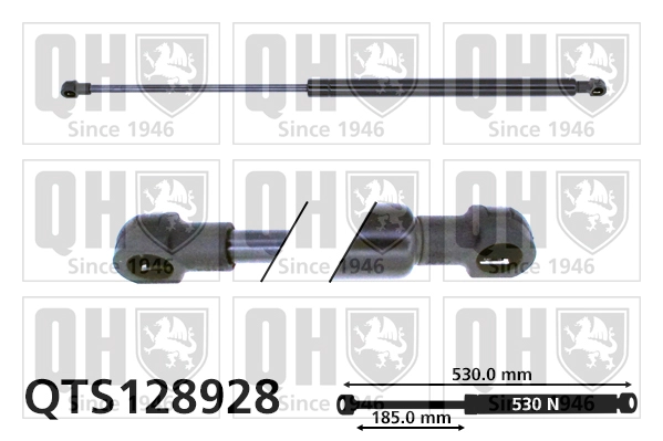 QTS128928