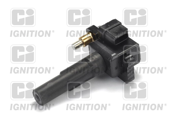 XIC8376